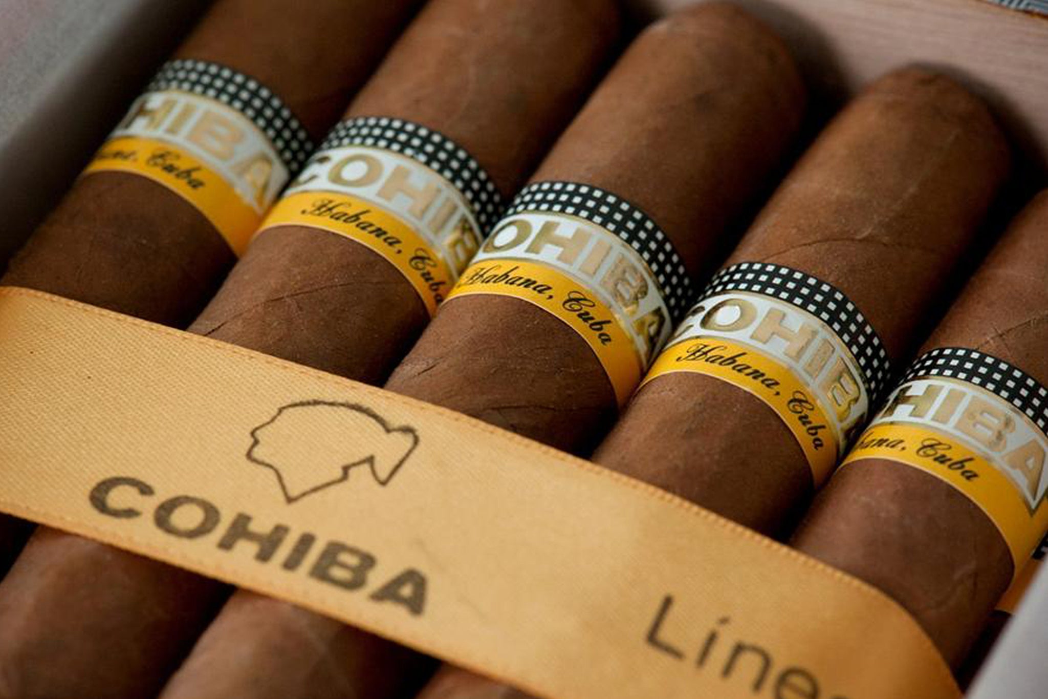 Kurze Geschichte von Cohiba: Fidel Castros beliebteste Zigarrenmarke aller  Zeiten – EGM Cigars