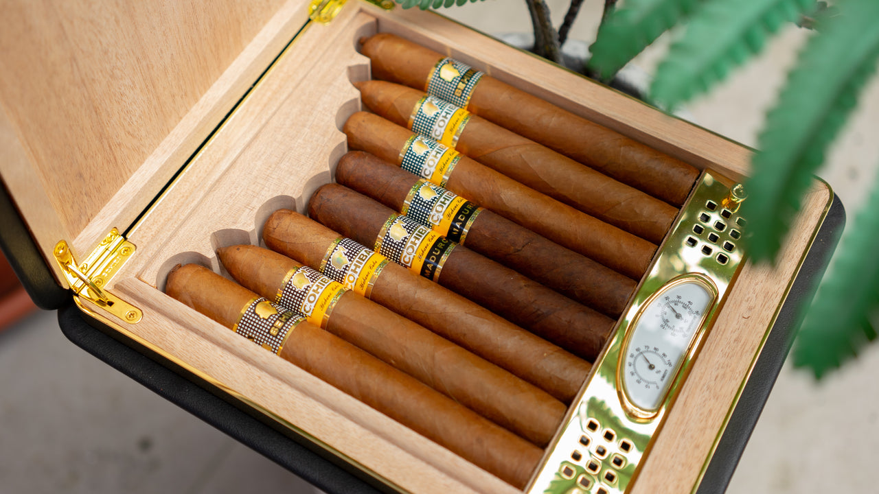 How to Maintain Your Cigar Humidor EGM Cigars