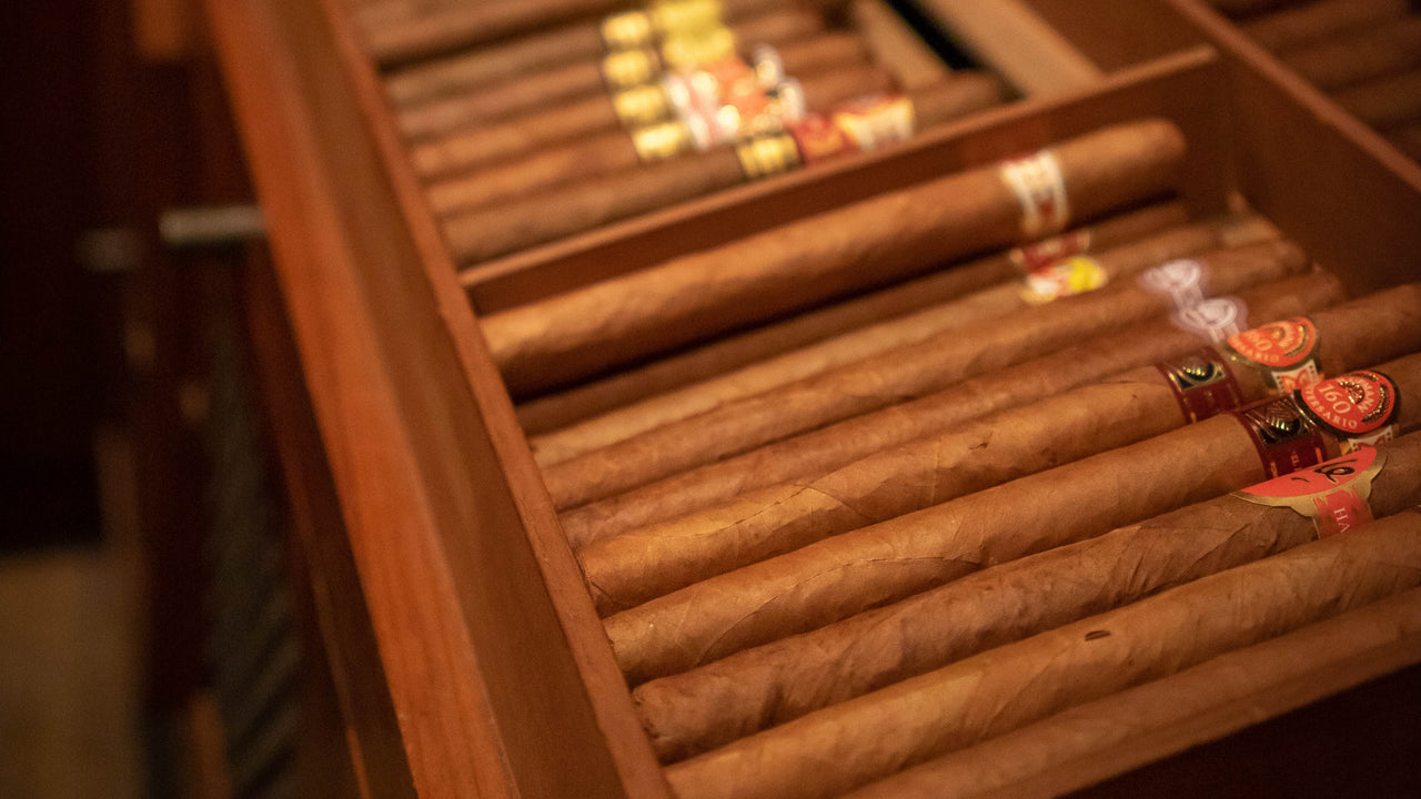How to Best Store Cigars Without A Humidor EGM Cigars