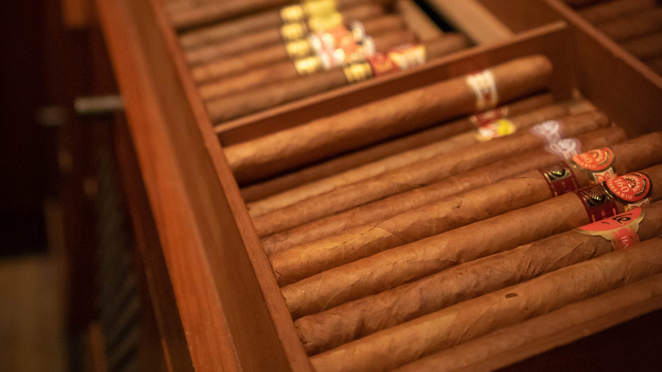 How to Best Store Cigars Without A Humidor EGM Cigars