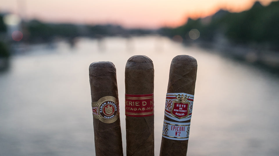 Robusto Cigars: An Aficionado's Favourite Format – EGM Cigars