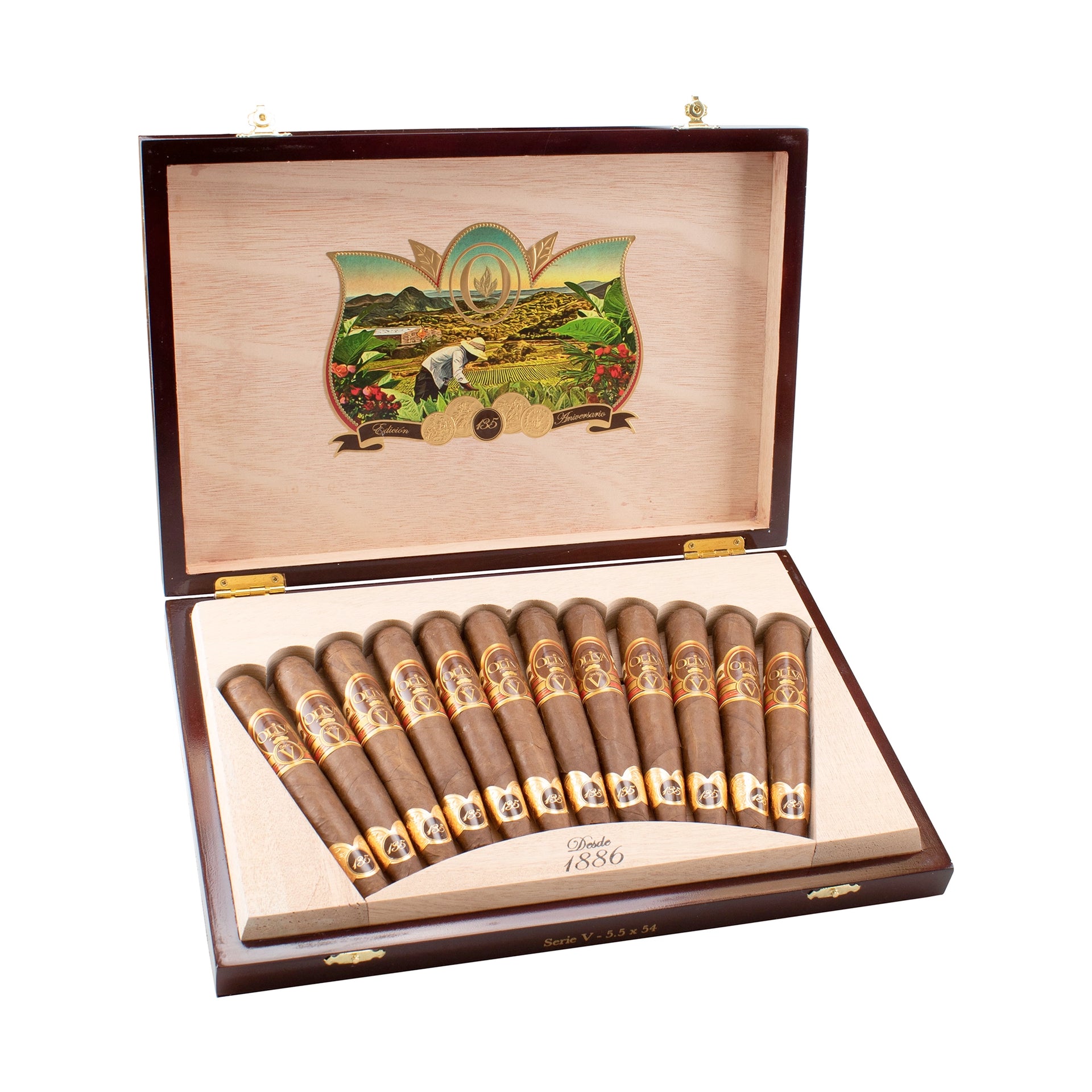 リトルジャマー Cinema Selection Olive Package Oliva Serie V 135th Anniversary Edición Real – EGM Cigars
