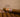 punch duke cigar ex. mexico 2018 EGM Cigars